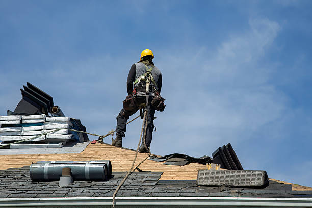 Professional Roof Replacement technician working in Ruther Glen, VA